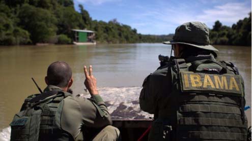 Ibama deixa de arrecadar até R$ 20 bi em multas por demora na digitalização de processos