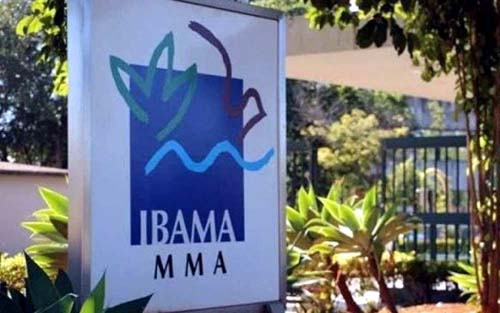 Ibama publica edital de concurso público com vagas para Alagoas; confira salários!