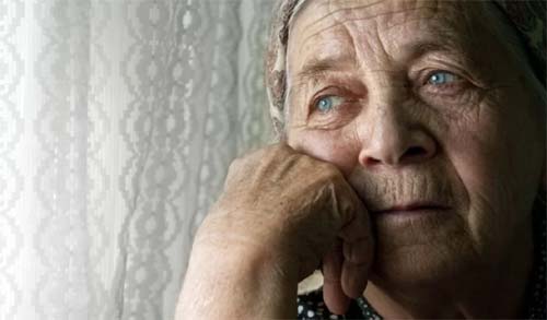 Orçamento de AL para 2025 prevê R$5 mil para idosos enquanto a causa animal terá R$191 mil