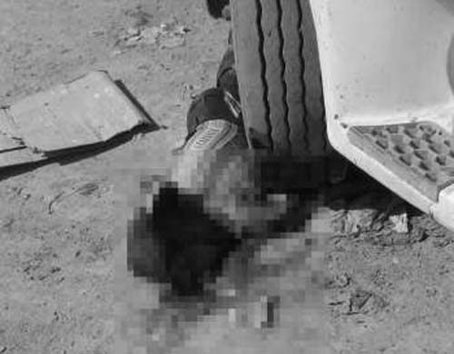 Idoso é atropelado por caminhão e morre em Coruripe