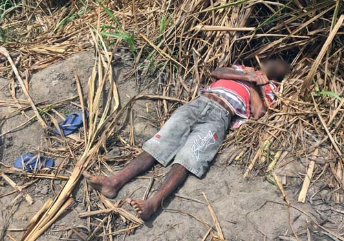 Corpo de idoso é encontrado em canavial na zona rural de São Miguel dos Campos