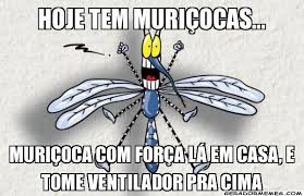 População de União dos Palmares reclama de epidemia de muriçocas e pernilongos