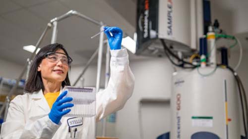 As novidades que têm revolucionado a luta contra o câncer