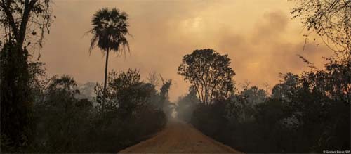 Fogo recorde no Pantanal foi agravado por mudança climática