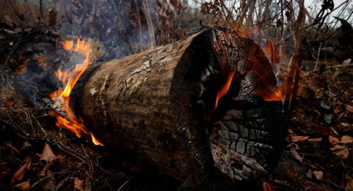 Incêndios no Paraguai são 'incontroláveis', autoridades esperam que chuva intensa possa mitigá-los