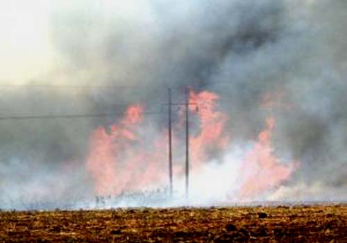 Queimada no Piauí provocou blecaute no Nordeste, diz governo