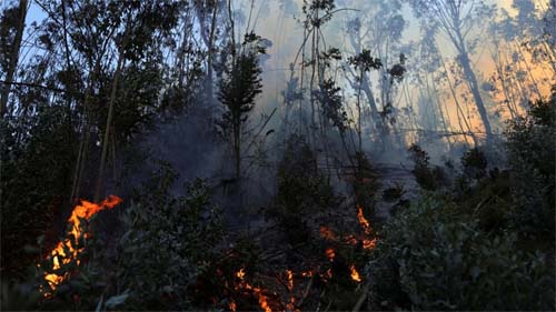 Colômbia: incêndios florestais chegam à Bogotá e Petro pede ajuda internacional