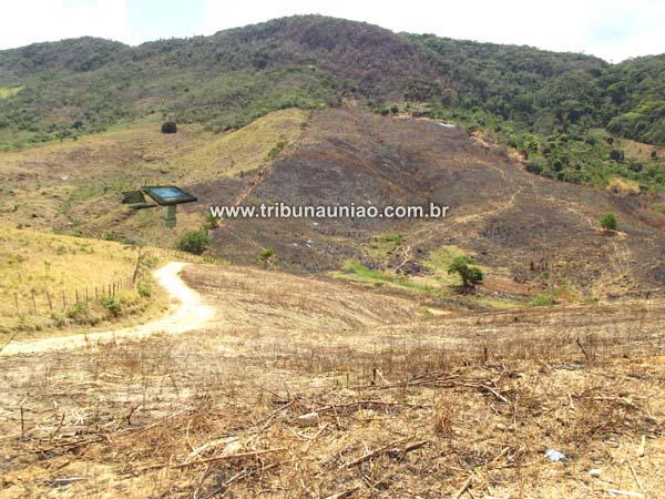 Incêndio com caracteristicas de crime ambiental devasta mata da Serra dos Frios em União dos Palmares