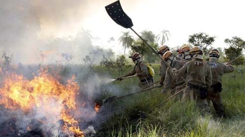 MS decreta situação de emergência devido a incêndios florestais e estiagem