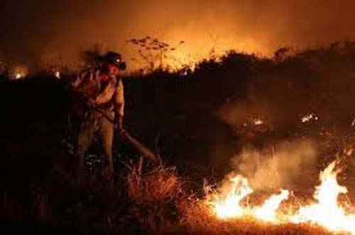 Pantanal começa a temporada mais seca do ano em estado de alerta