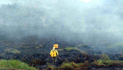 Incêndio atinge Reserva Ecológica em Murici
