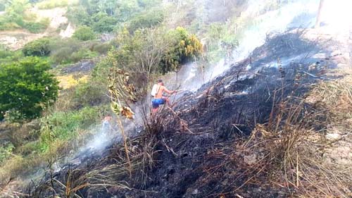 Incêndio atinge mata próximo a residências em São Miguel dos Campos