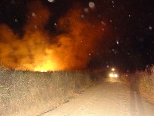 Incêndio em canavial município de União dos Palmares