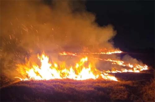 Número recorde de incêndios florestais em Alagoas em um único dia evidencia preocupação crescente