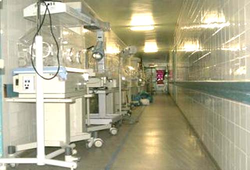 Bebês devem retornar à Santa Mônica na próxima quarta 