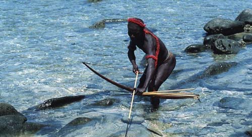 Sentinela: como vive a tribo isolada da Índia que matou um jovem aventureiro americano com flechas