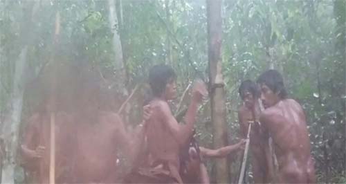 Imagens Raras da Funai Mostram Povos Indígenas Isolados em Rondônia