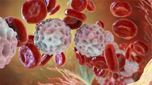 O que é inflamação e por que às vezes ela é perigosa