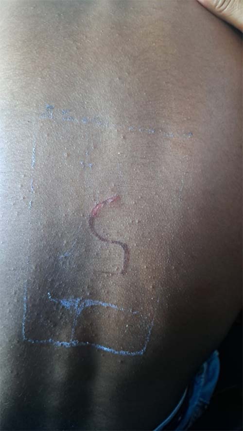 Indígenas são marcados com ferro em brasa em ilha de criação de gado no Tocantins; ninguém foi responsabilizado