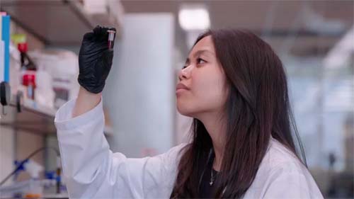 Como inteligência artificial ajudou a criar antibiótico contra superbactéria mortal