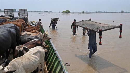 Inundações no Paquistão causadas pela Índia deixam 100 mil desabrigados