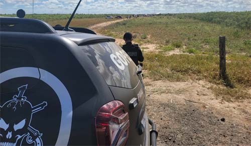 Cerca de 300 pessoas ligadas ao MST ocupam fazenda na zona rural de Arapiraca