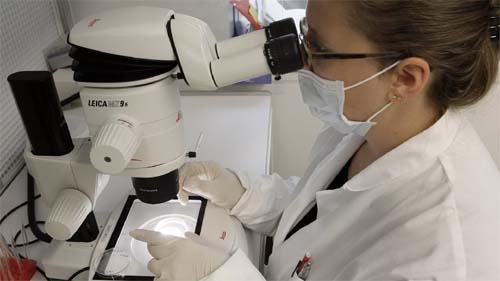 Os maiores avanços e investigações médicas de 2024 trazem esperança para a saúde