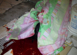 Mulher é assassinada após receber ligação de ex-namorado