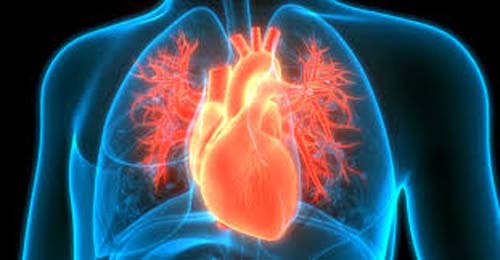 Conheça os sinais da insuficiência cardíaca e saiba quando consultar um cardiologista