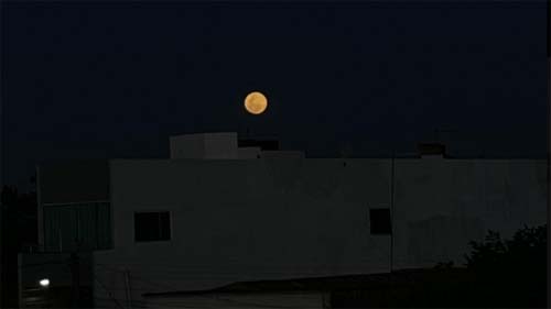 Encanto celestial: última lua superbrilhante de 2025 ilumina o céu e conquista internautas