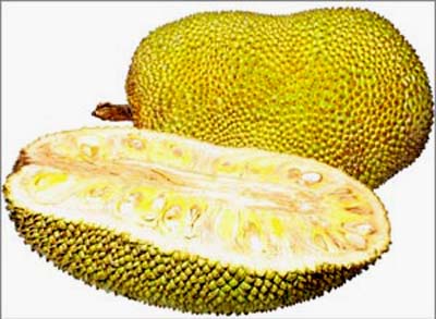 Alimentos renegados podem ser ruins de gosto, mas são bons para a saúde