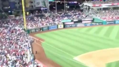Tiroteio interrompe jogo de beisebol e deixa quatro feridos nos EUA