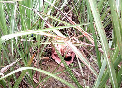 Evangélico é vitima de latrocinio na zona rural de União dos Palmares