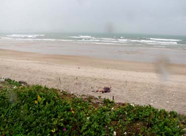 Guarda municipal é assassinado perto da Central de Polícia