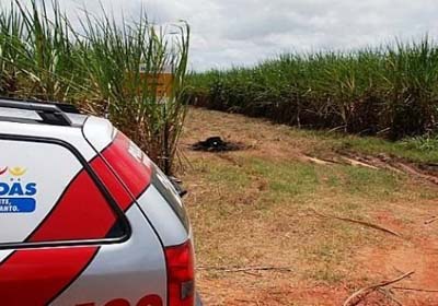 Acusado de assassinato em Igreja Nova é encontrado morto