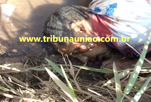 Latrocinio de motorista em União pode ter sido praticado por quadrilha que na mesma noite assaltou feirantes