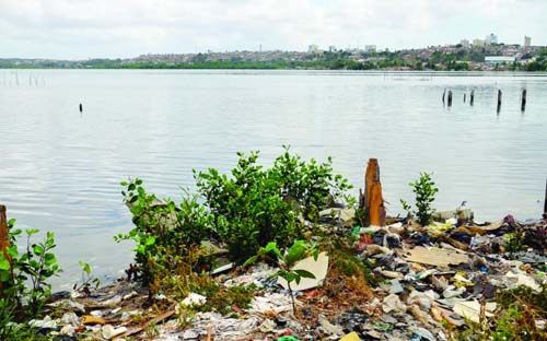 Lagoa Mundaú é “sufocada” por toneladas de lixo e dejetos
