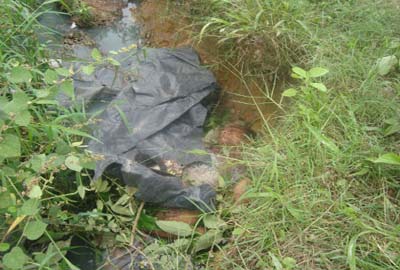 Jovem é morto a facadas e golpes de cacete