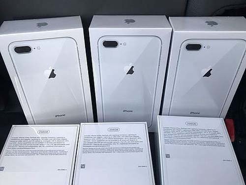 Sefaz arrecada R$ 700 mil em leilão de celulares apreendidos