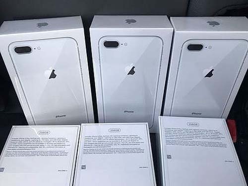 IPhones e produtos apreendidos vão a leilão em Alagoas; confira lances iniciais