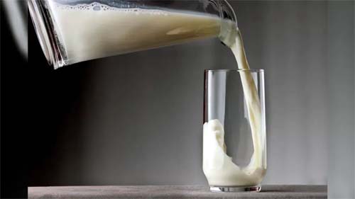 Agroindústria do leite aposta no aumento do consumo