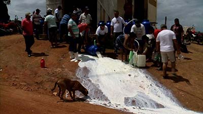 Sem receber há 3 meses, produtores jogam leite fora em Mar Vermelho, Alagoas