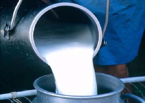 Leite tipo B sai do mercado na segunda-feira