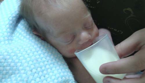 HU inicia campanha na Semana de Doação de Leite Materno