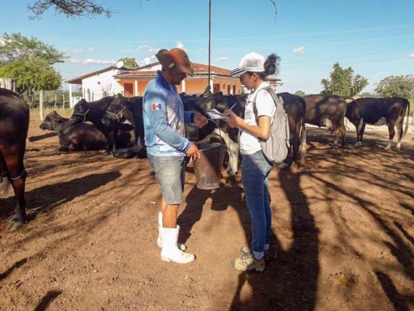 Senar/AL orienta produtores sobre os cuidados na ordenha