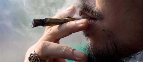 Prós e contras da descriminalização do porte de maconha