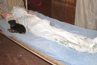 Idosa morre e IML e SVO se negam a remover o corpo 