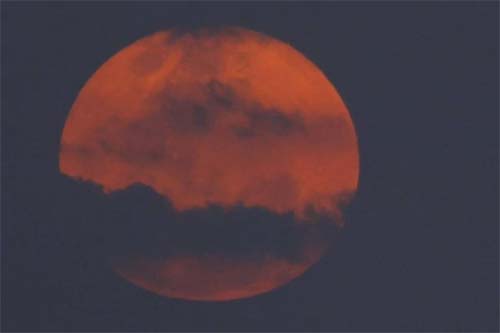 Saiba o que é 'Lua do veado', que poderá ser vista nesta quinta (10)