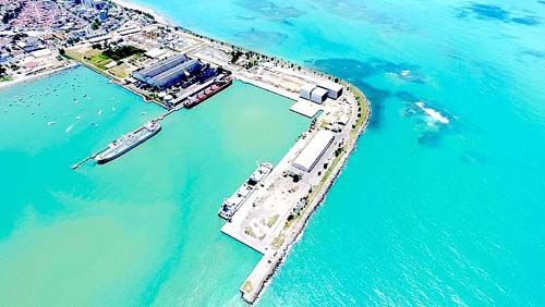 Sesau descarta suspeita de vírus H1N1 trazido por turistas de cruzeiro