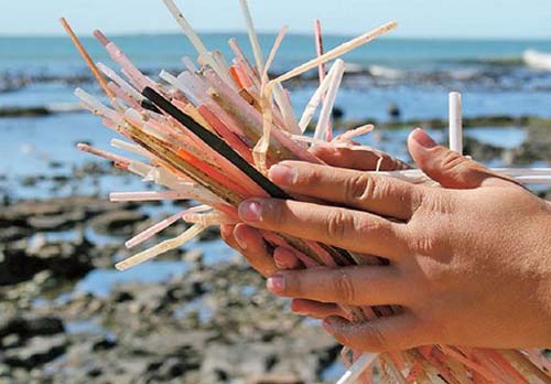 Maceió pode ser a próxima cidade a banir canudos de plástico